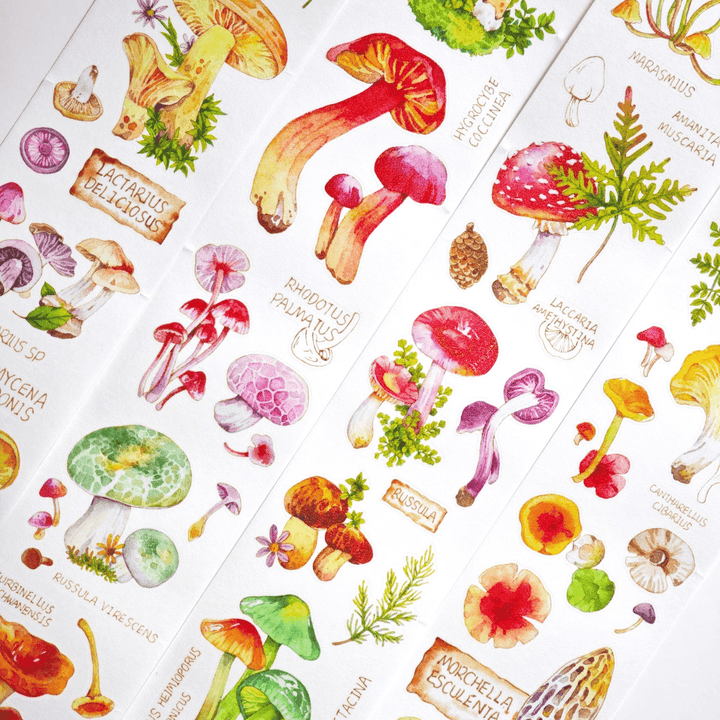 Mushroom Guide Plant Die - Cut Tape - Desk Cosmos