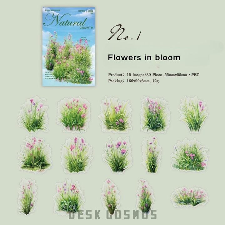 Nature PET Stickers Natural Growth Greenery Grass Patch Mood Layout