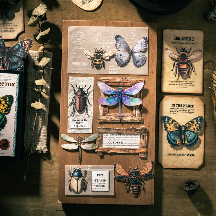 Insect Collector Paper Stickers Retro Suitable For Collage
