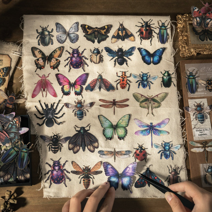 Insect Collector Paper Stickers Retro Suitable For Diary Creation