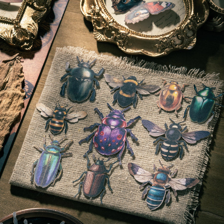 Insect Collector Paper Stickers Retro Suitable For Art Projects