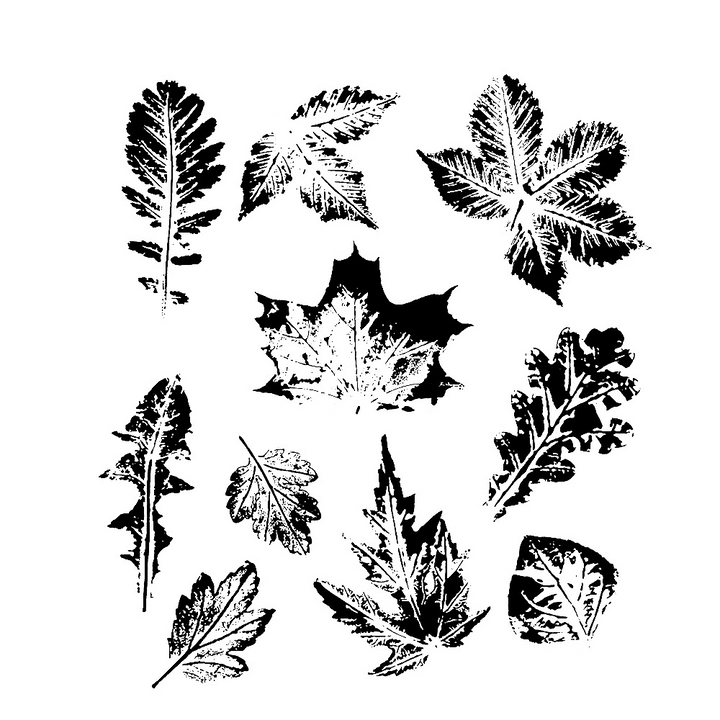 Festival Clear Stamps Transparent Silicone Seasonal Crafting