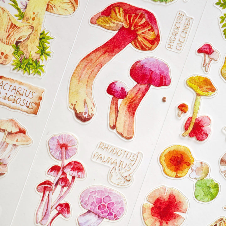 Mushroom Guide Plant Die - Cut Tape - Desk Cosmos