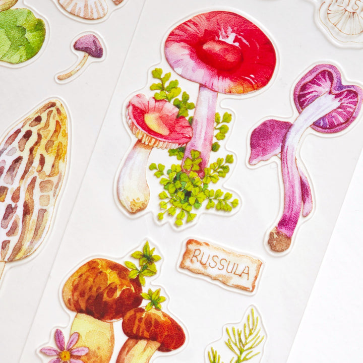 Mushroom Guide Plant Die - Cut Tape - Desk Cosmos