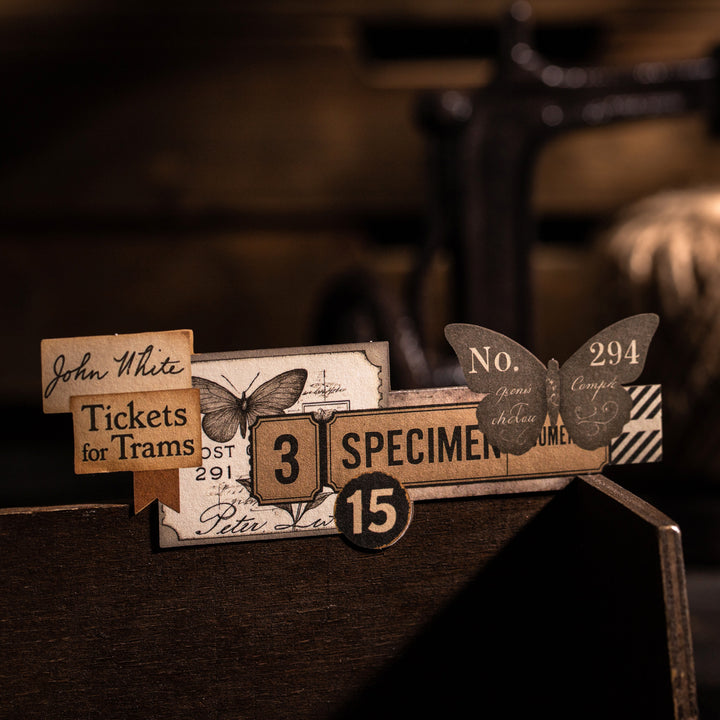 Vintage Stickers – Film, Insects, Frames, Butterflies, Stamps - Desk Cosmos