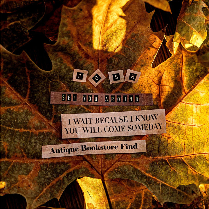 Time’s Words Series Die - cut Tape - Desk Cosmos