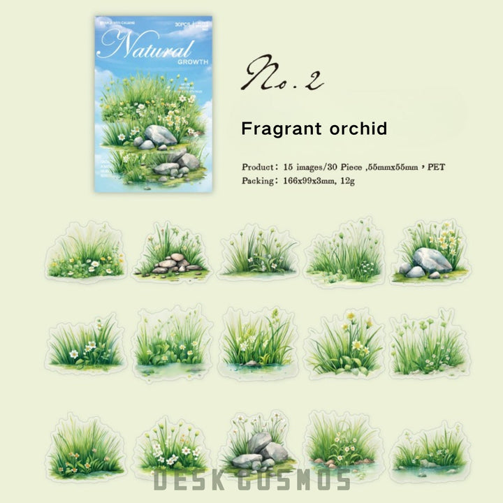 Nature PET Stickers Natural Growth Greenery Decorative Elements For Notebook