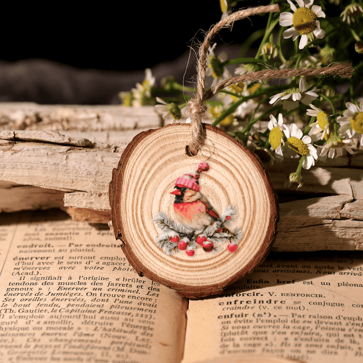 Christmas Transfer Stickers - Reindeer, Gifts, Sled, Bear - Desk Cosmos