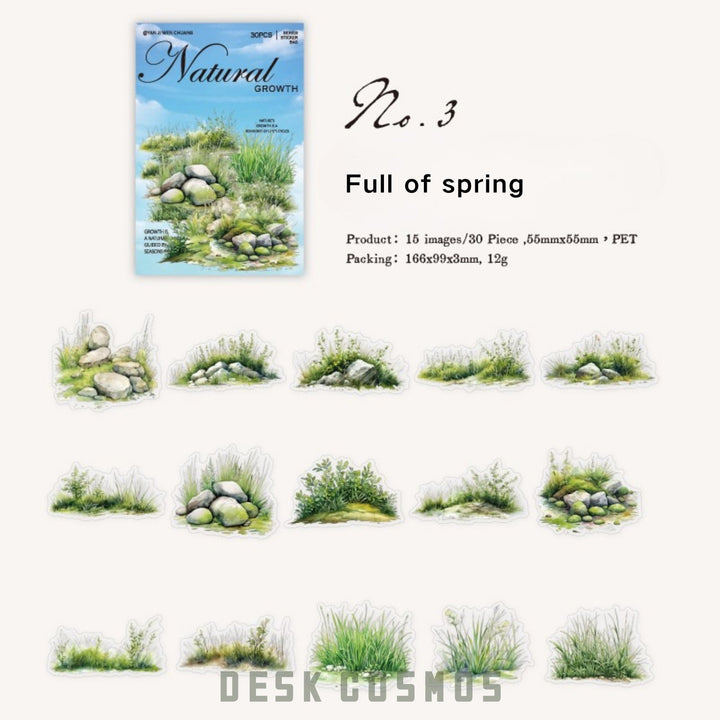 Nature PET Stickers Natural Growth Greenery Minimal Nature DIY Elements