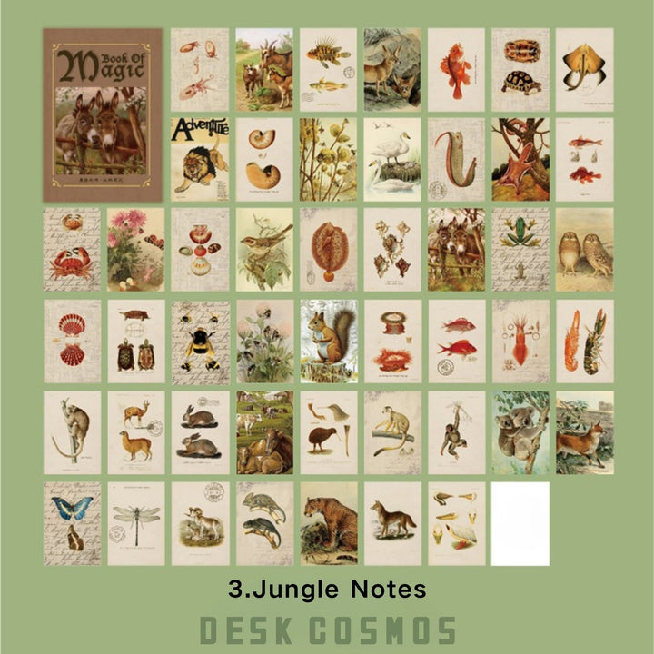 Bean Book Of Magic Jungle Notes Character Themed Paper Kit