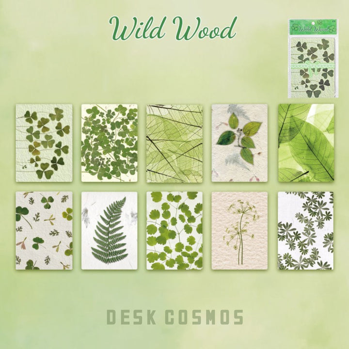 Kasuga Story Wild Wood Nature Inspired Background Paper