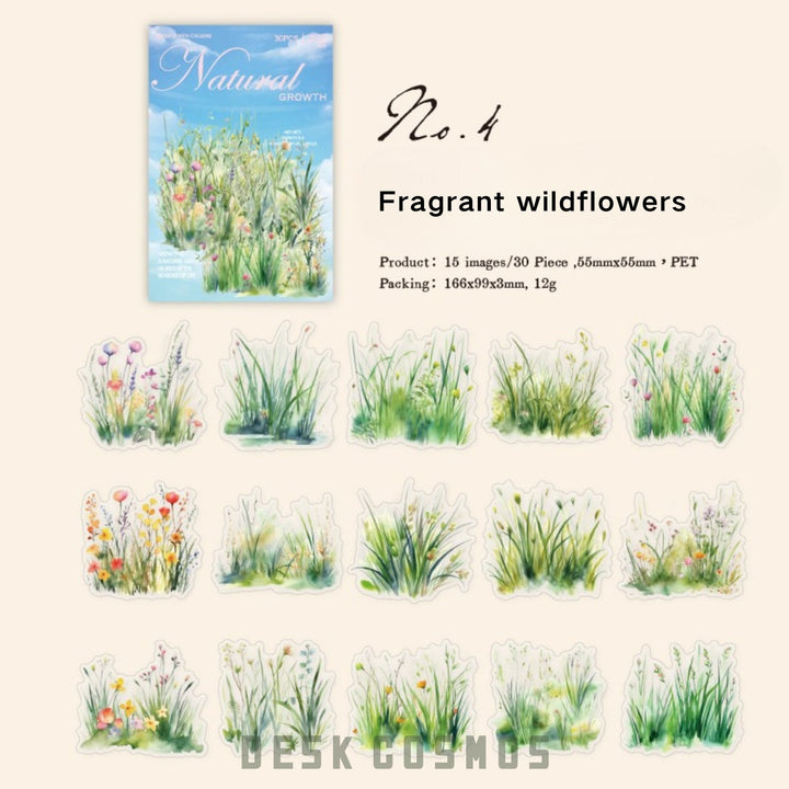 Nature PET Stickers Natural Growth Greenery Spring Garden Scrapbook Supplies