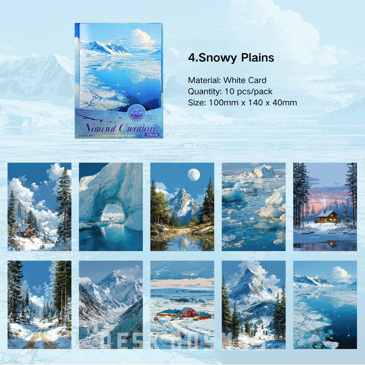 Nature Inspired Scenic Cardstock - Desk Cosmos