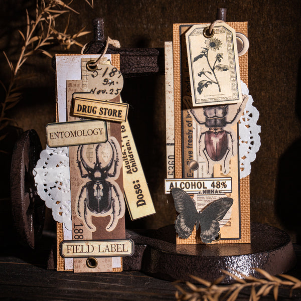 Vintage Stickers – Film, Insects, Frames, Butterflies, Stamps - Desk Cosmos