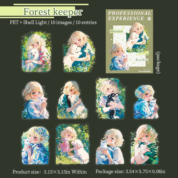 Professional Experience Hobby Girl PET Stickers Planner Decoration