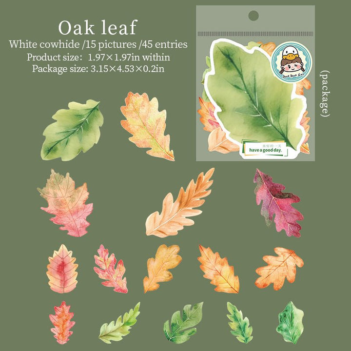 A Leaf PET Nature Style Stickers for DIY Pages