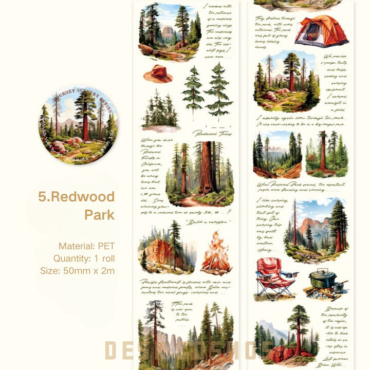 The Scenery of the Journey Redwood Park Serene Nature Landscape Tape