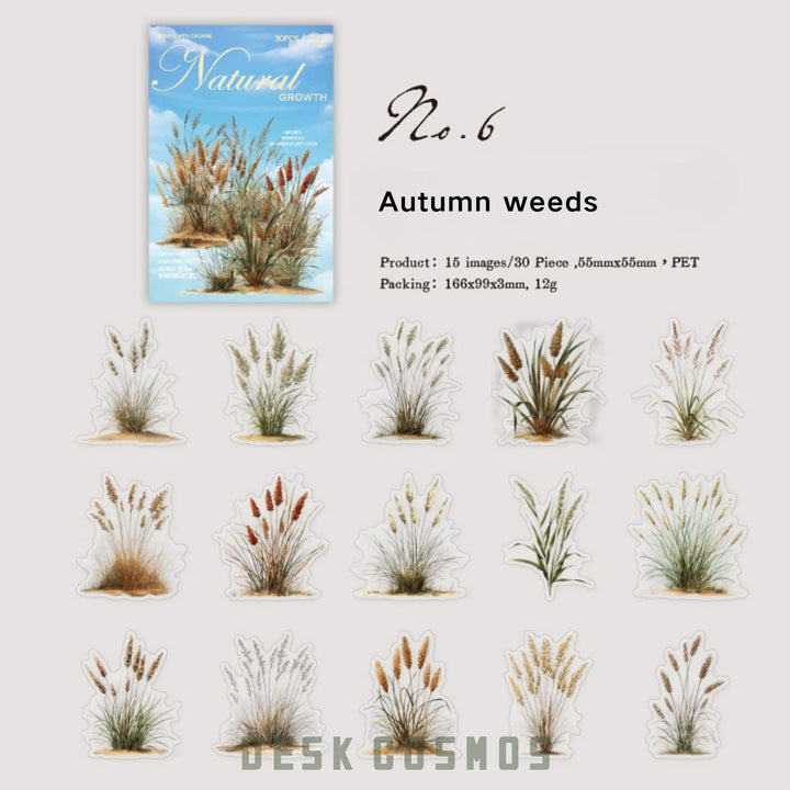 Nature PET Stickers Natural Growth Greenery Journal Accessories Paper Layering