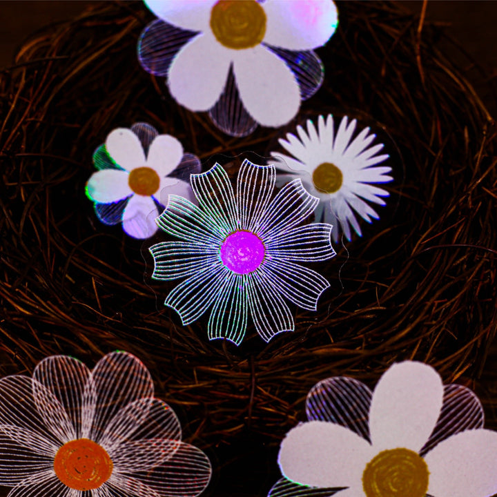 Romantic Daisy Flower PET Stickers - Desk Cosmos