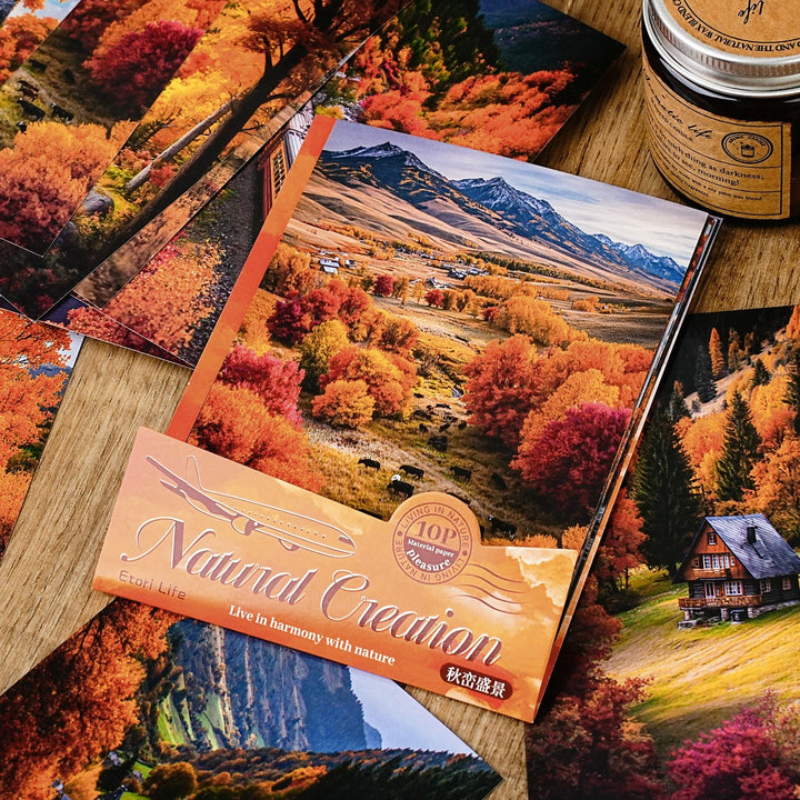 Nature Inspired Scenic Cardstock - Desk Cosmos