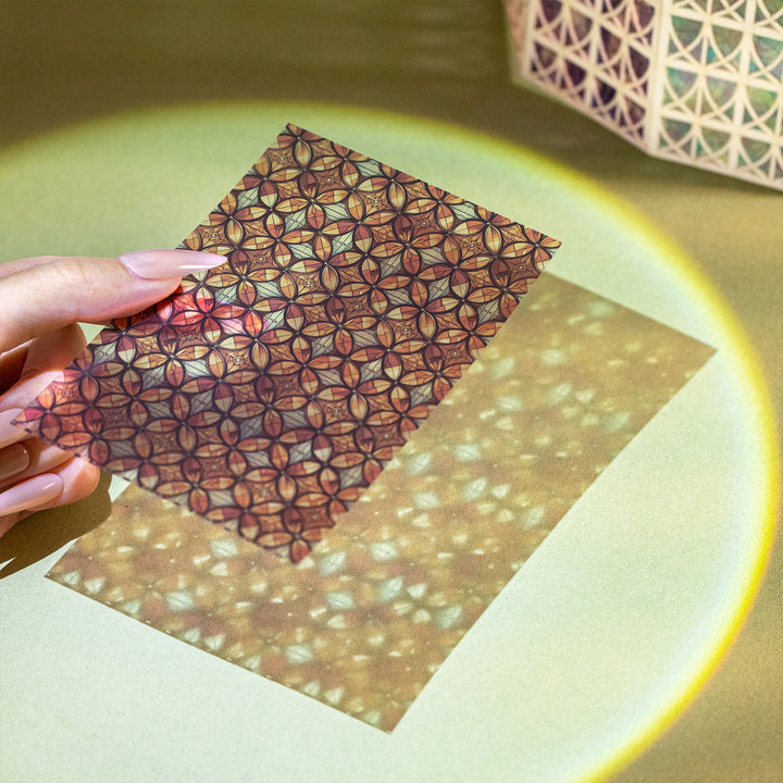 Light Shadow Flower Art Stickers - Desk Cosmos