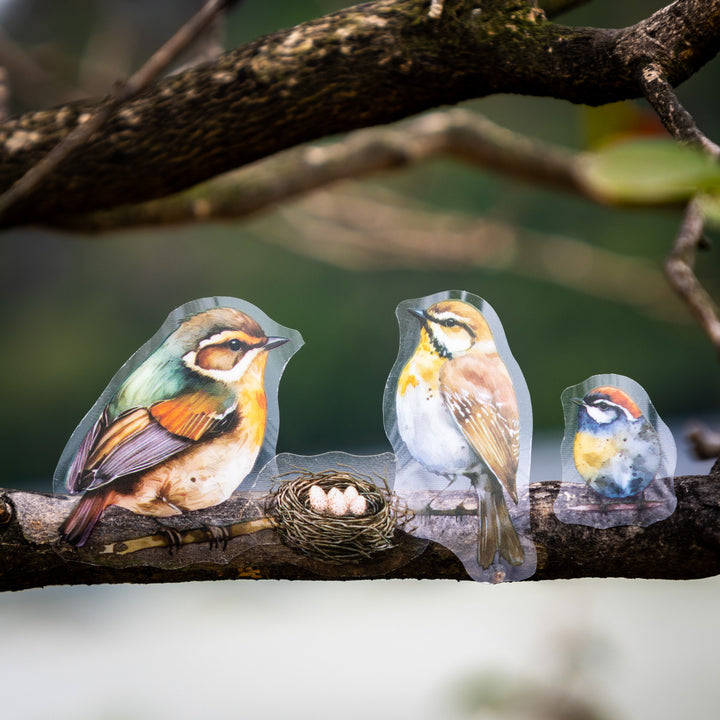 Birds Theme Die-cut Tape for Nature and Animal Journaling