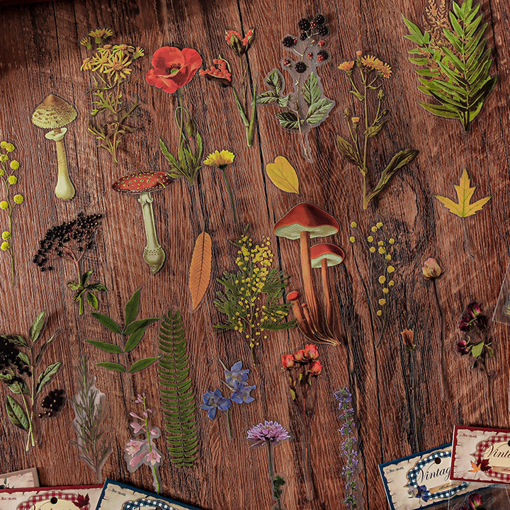 Botanical Journal Stickers Linmist Echo PET Style