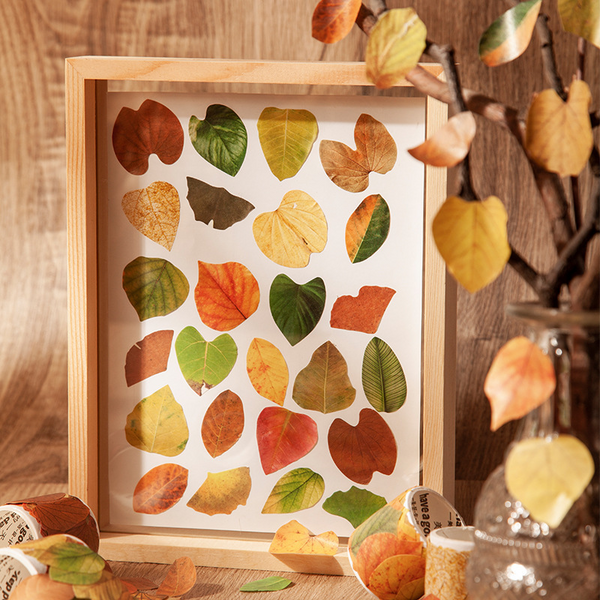 Collage Realistic Leaf Vintage Washi Stickers into a Picture Frame Made of Various Leaves