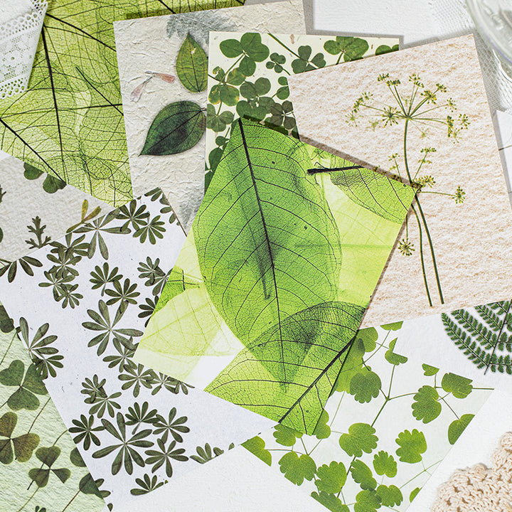 Flower Paper Kasuga Story Embossed Craft Set