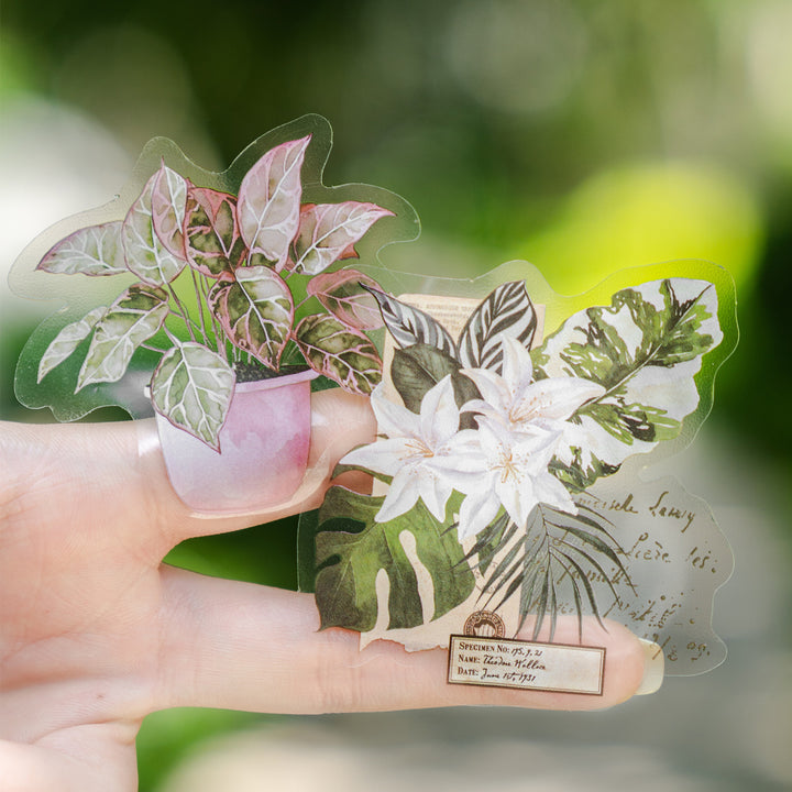 Green Plant Workshop Floral Decorative Stickers Pack