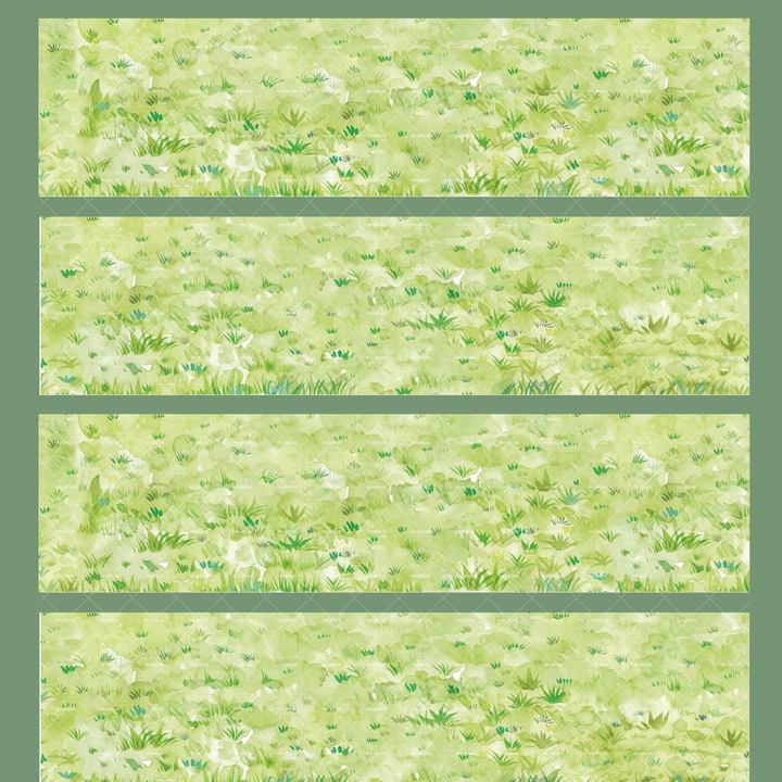 Ground Scenery PET Tape Spring Grass Mood