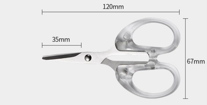 High Quality Stainless Steel Scissors Small Transparent Scissors