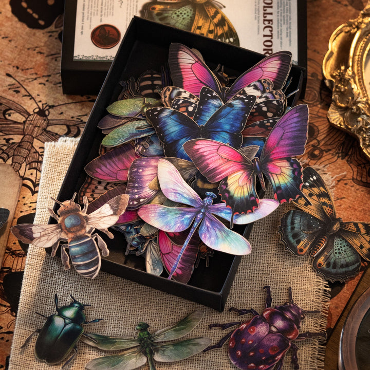Insect Collector Paper Stickers Retro Suitable For Journal Lovers