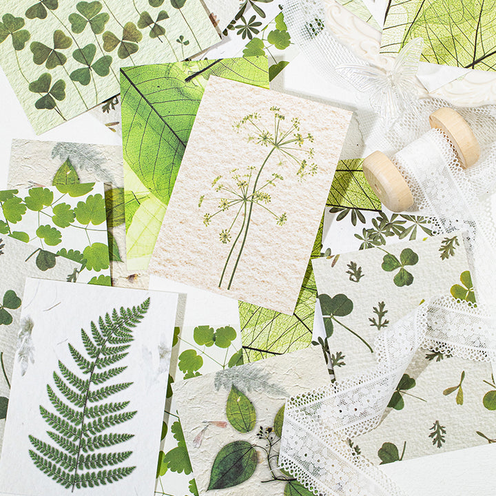 Kasuga Story Botanical Craft Paper for DIY