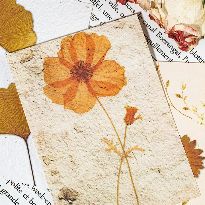 Kasuga Story Flower Craft Paper Aesthetic Style