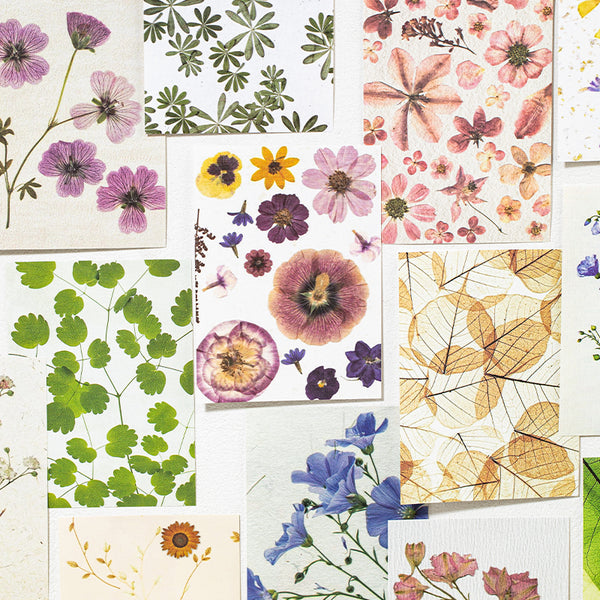 Kasuga Story Flower Paper for Journaling