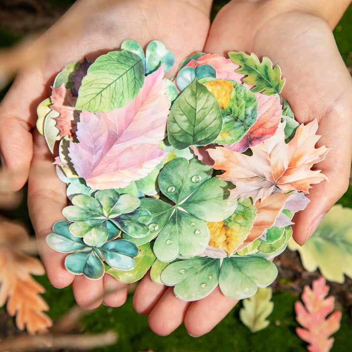 Leaf Stickers A Leaf PET Green Leaf Design Stickers