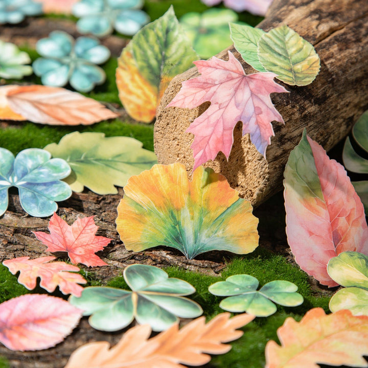 Leaf Stickers A Leaf PET Natural Aesthetic Scrapbook