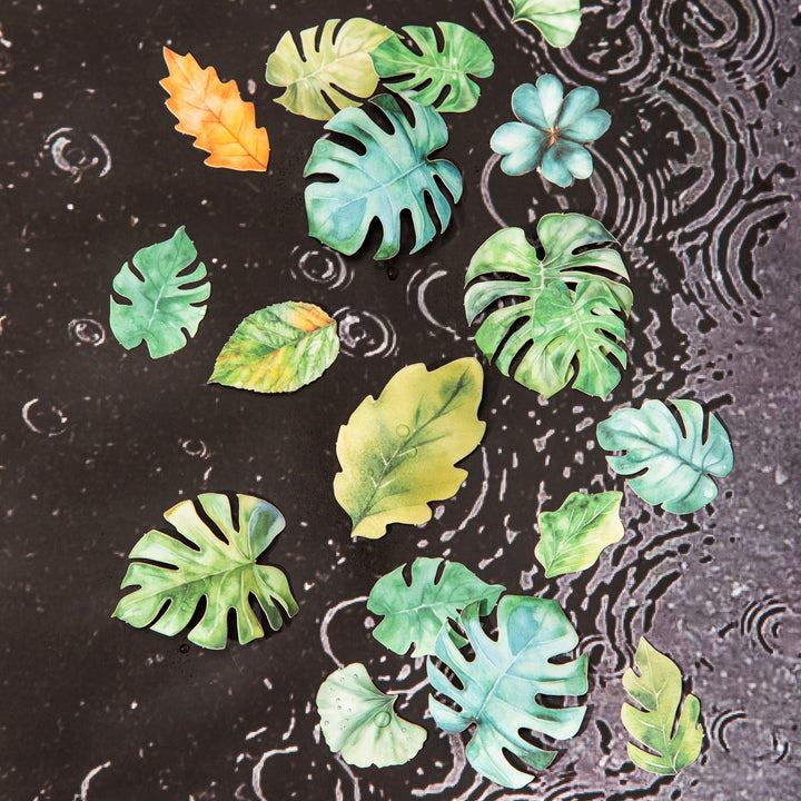 Leaf Stickers A Leaf PET Nature Journal Supplies