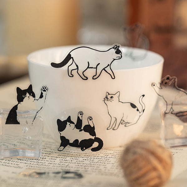 Line Cat Kitten PET Stickers Suitable for Diary Creation