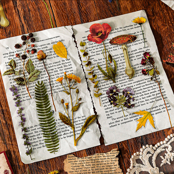 Linmist Echo Botanical PET Stickers for Scrapbook