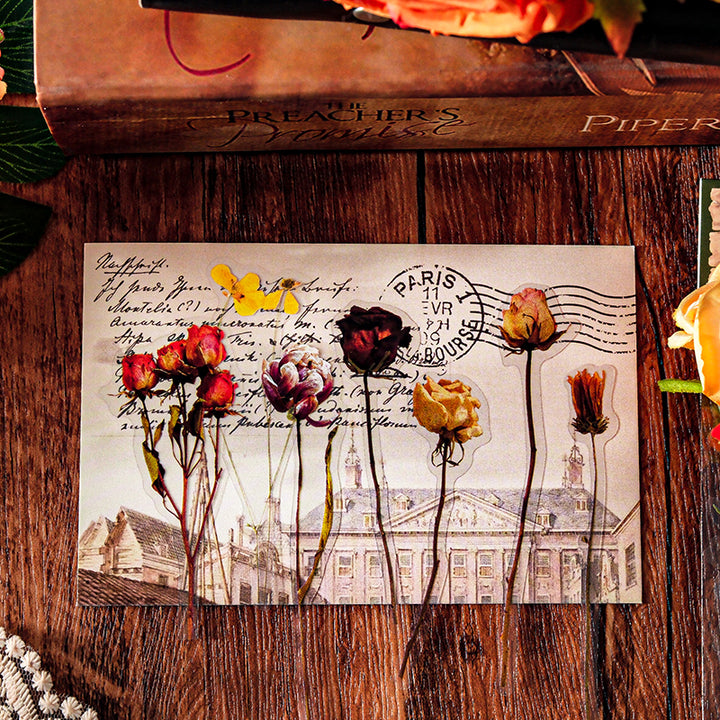 Linmist Echo Vintage PET Stickers Pack for Journaling