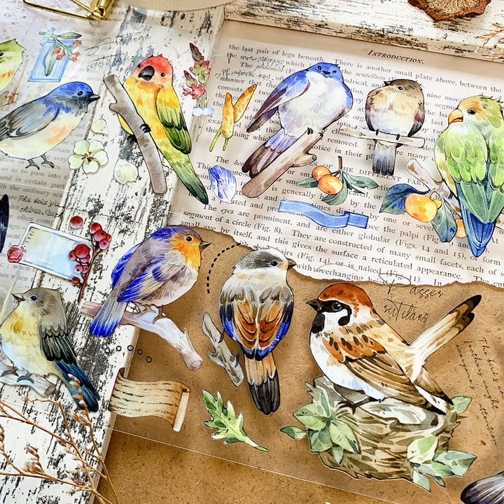 Little Birds Collection Bird Washi Style for Scrapbook