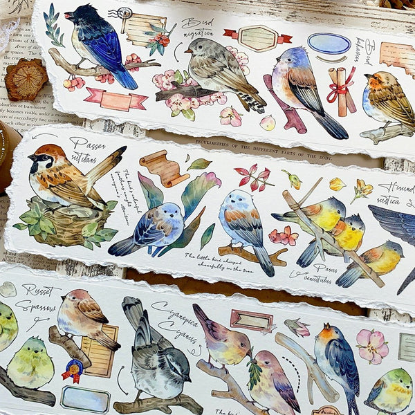 Little Birds PET Tape Retro Style Collage Material
