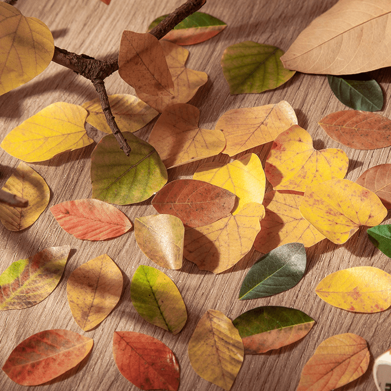 Show the Variety of Realistic Leaf Vintage Washi Stickers