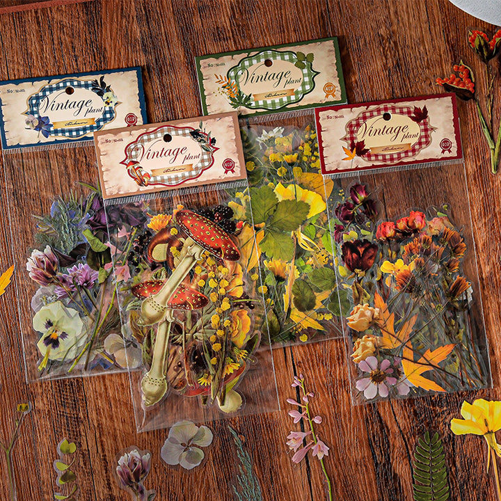 Vintage PET Stickers Linmist Echo Retro Botanical Stickers