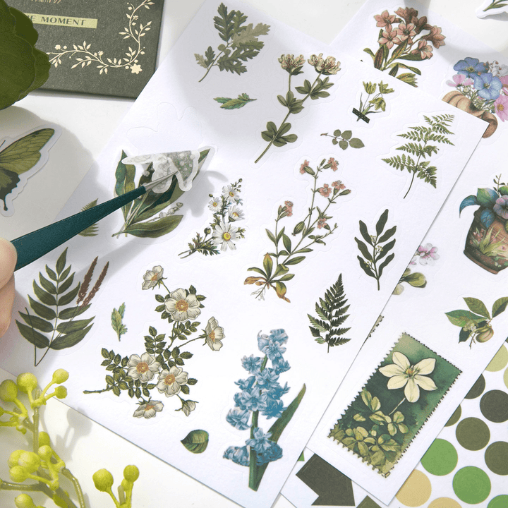 Nature Journal Sticker Box Nature Impression Multi Set for DIY Projects