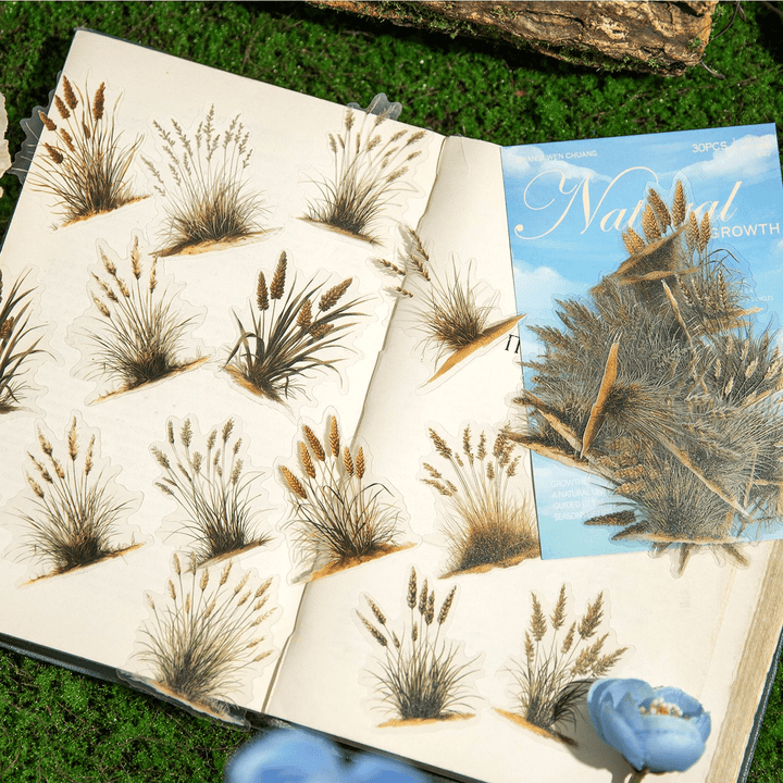 Nature PET Stickers Natural Growth Greenery Ground Texture DIY Decoration