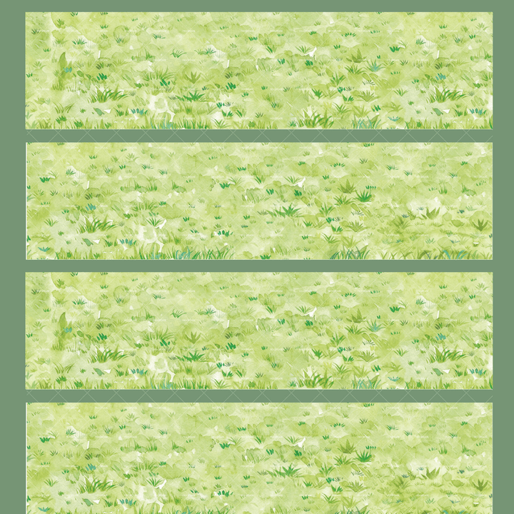 Ground Scenery PET Tape Spring Grass Mood