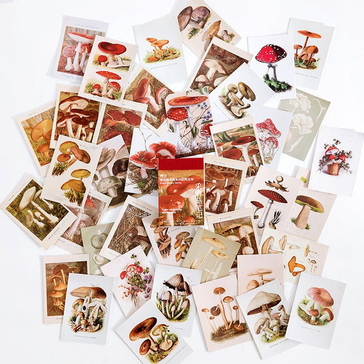 Vintage Library Series Scrapbook Paper Suitable for Personalized Decoration